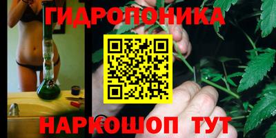 сатива Рыбинск