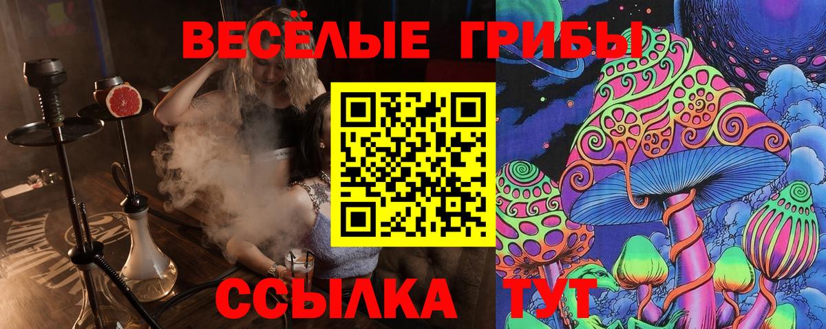 Псилоцибиновые грибы Psilocybe Сорочинск